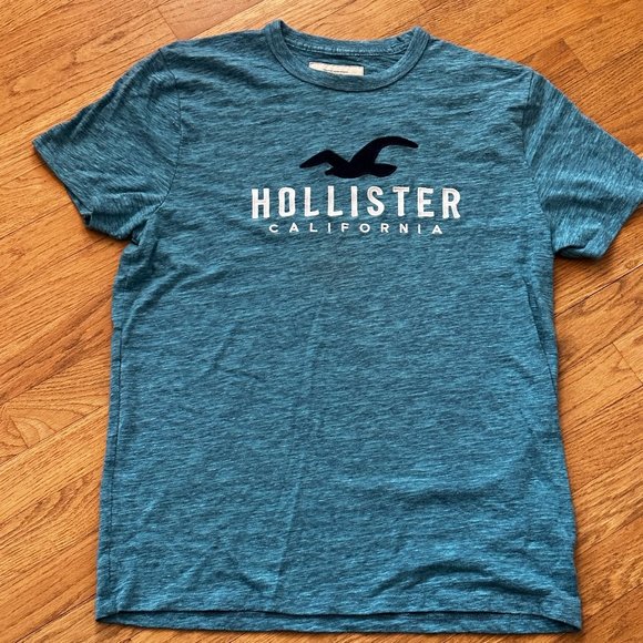 NWOT Hollister Men's t-shirt in size large - Picture 1 of 3